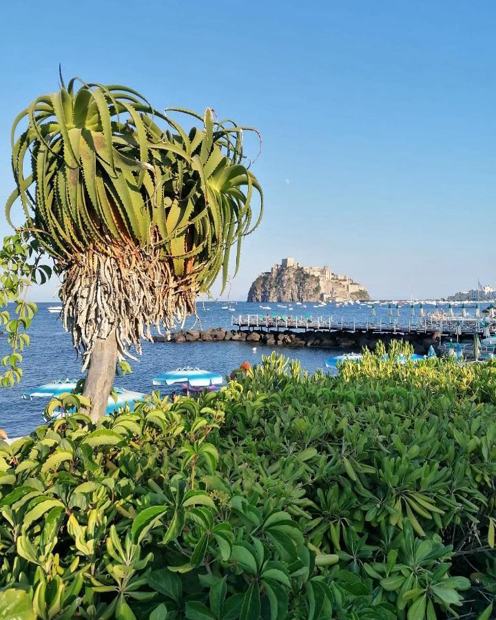 Maison Mele ايسكيا المظهر الخارجي الصورة